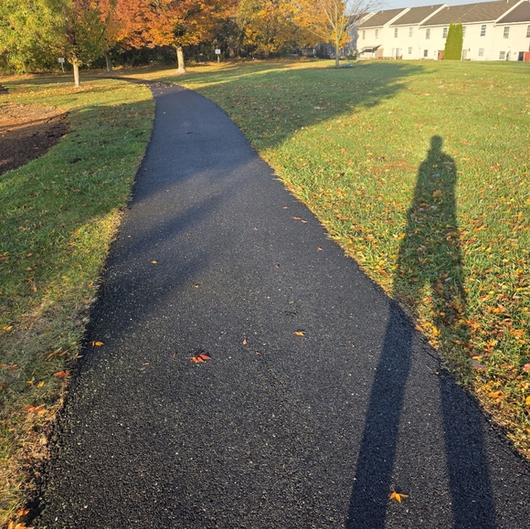 Meet your Posher, Patrick - Picture 1 of 1